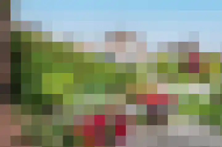 Gerberastraat 26 Noorden thumbnail 63