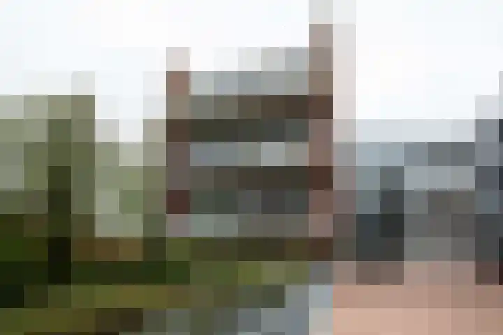 Gerberastraat 59 Aalsmeer thumbnail 28