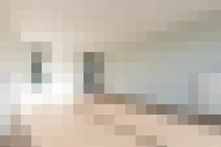 Gerberastraat 63 Aalsmeer thumbnail 10