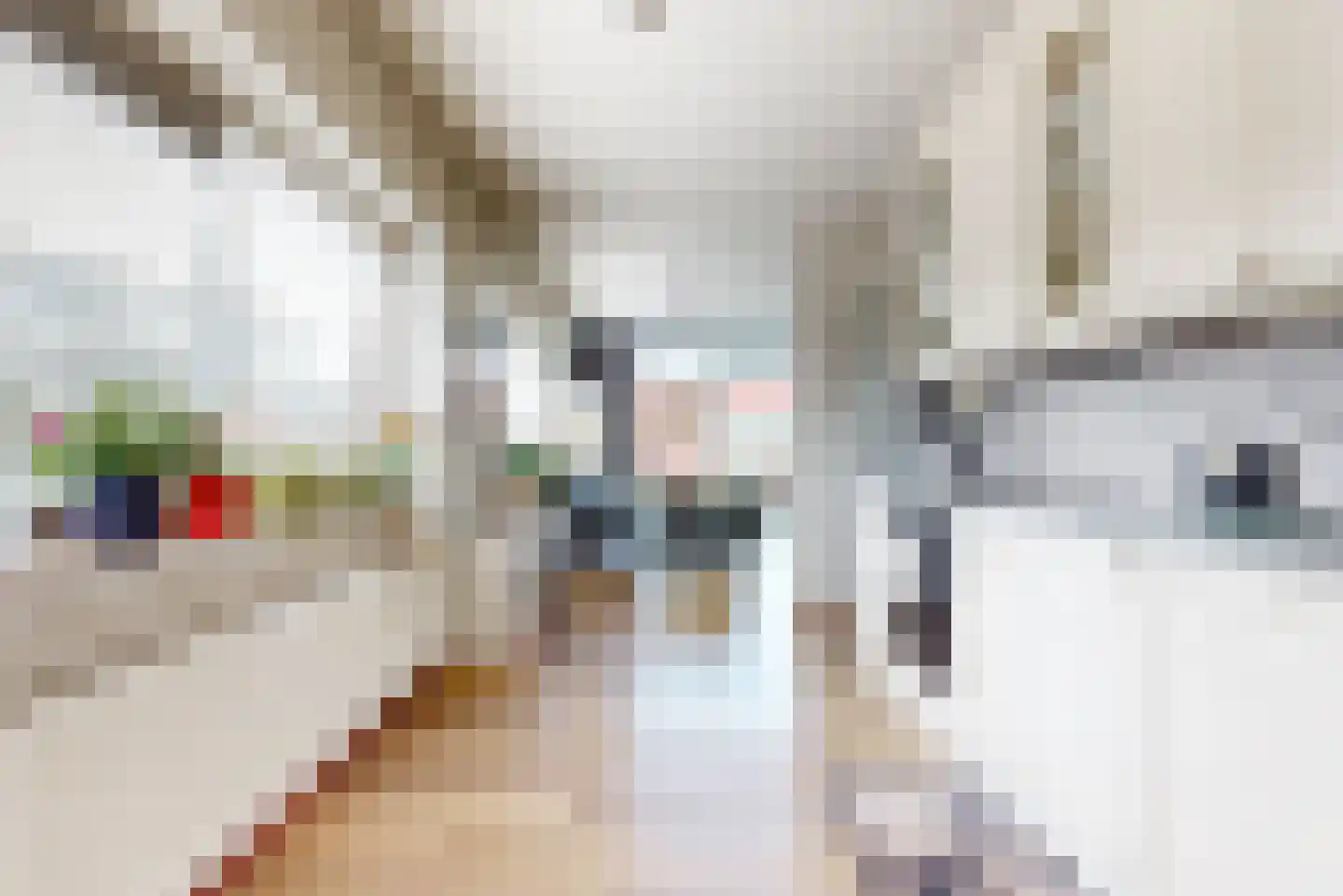 Gerberastraat 79 Aalsmeer thumbnail 9