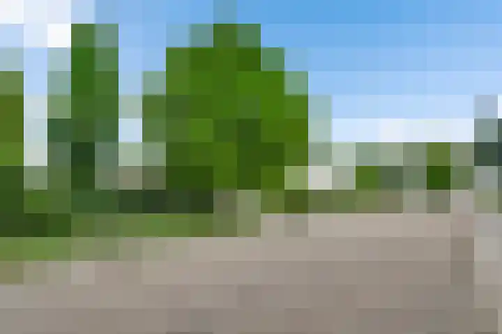 Gerbergaplantsoen 44 Meerssen thumbnail 19