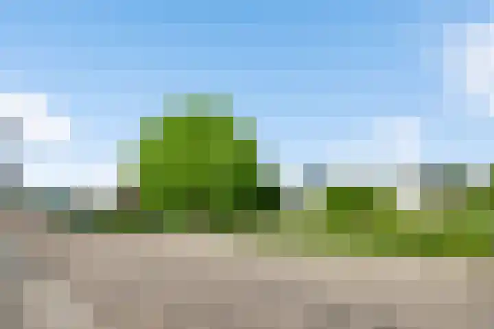 Gerbergaplantsoen 44 Meerssen thumbnail 20