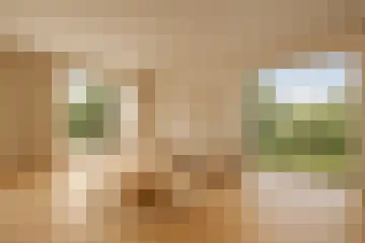 Gerbergaplantsoen 44 Meerssen thumbnail 23
