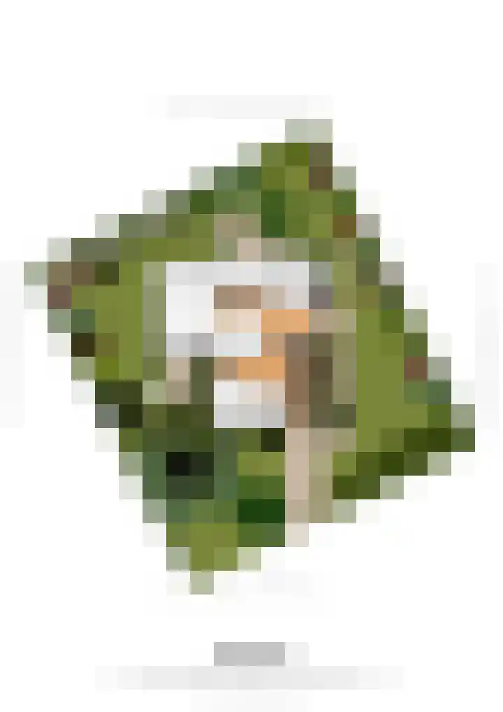 Gerbergaplantsoen 44 Meerssen thumbnail 24