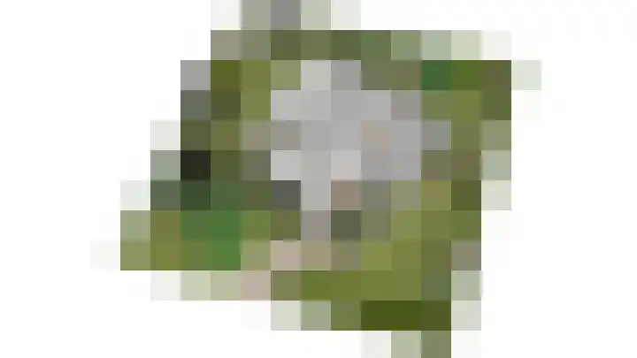 Gerbergaplantsoen 44 Meerssen thumbnail 25