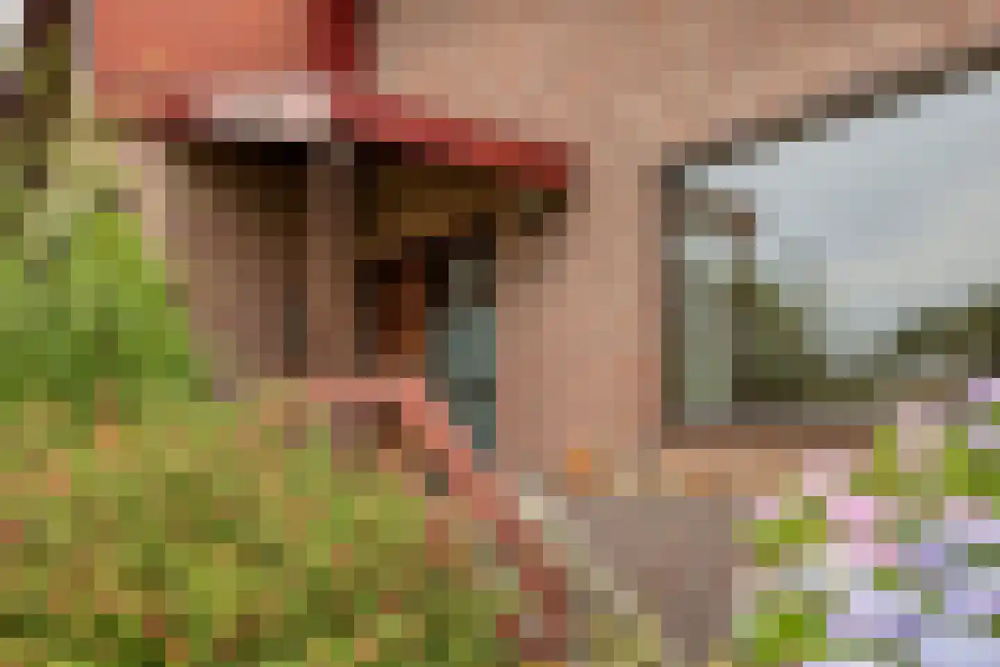 Gerbergaplantsoen 6 Meerssen thumbnail 11