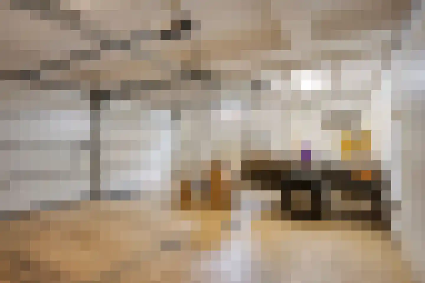 Gerbergaplantsoen 6 Meerssen thumbnail 41
