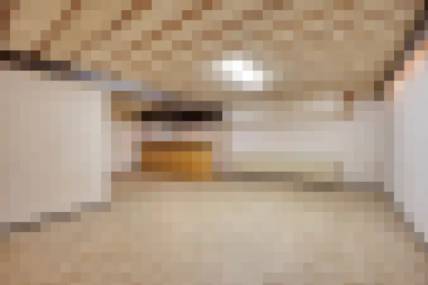 Gerbergaplantsoen 6 Meerssen thumbnail 43