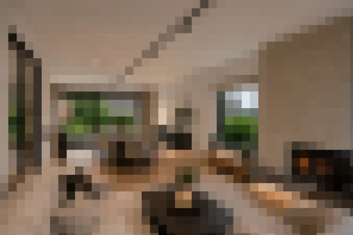 Gerbergaplantsoen 6 Meerssen thumbnail 5