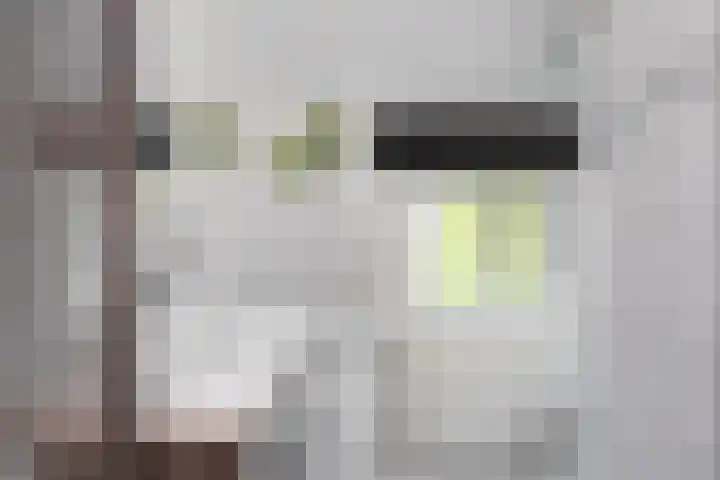 Gerbergastraat 34 Beek thumbnail 26