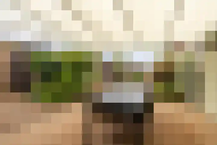 Gerbergastraat 34 Beek thumbnail 29