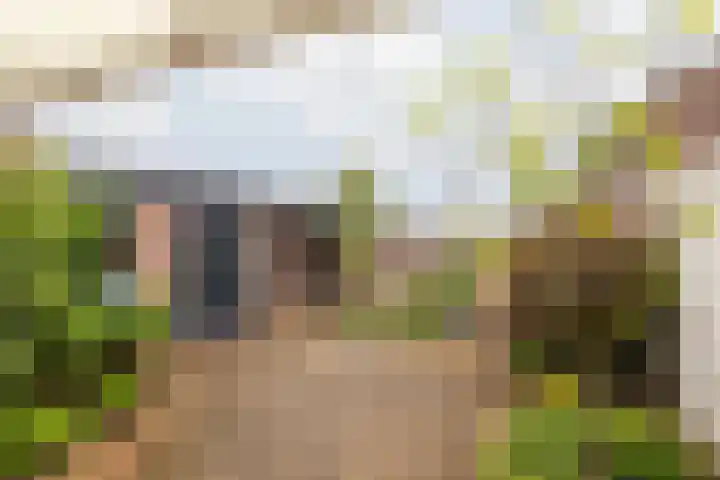Gerbergastraat 34 Beek thumbnail 31