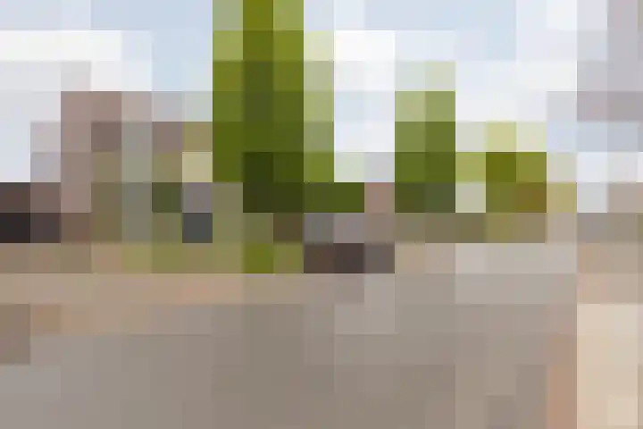 Gerbergastraat 34 Beek thumbnail 6