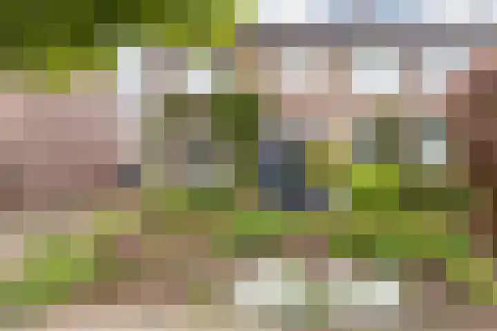Gerbergastraat 34 Beek thumbnail 7