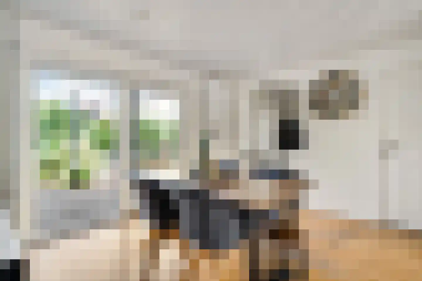 Gerbergastraat 34 Beek thumbnail 9
