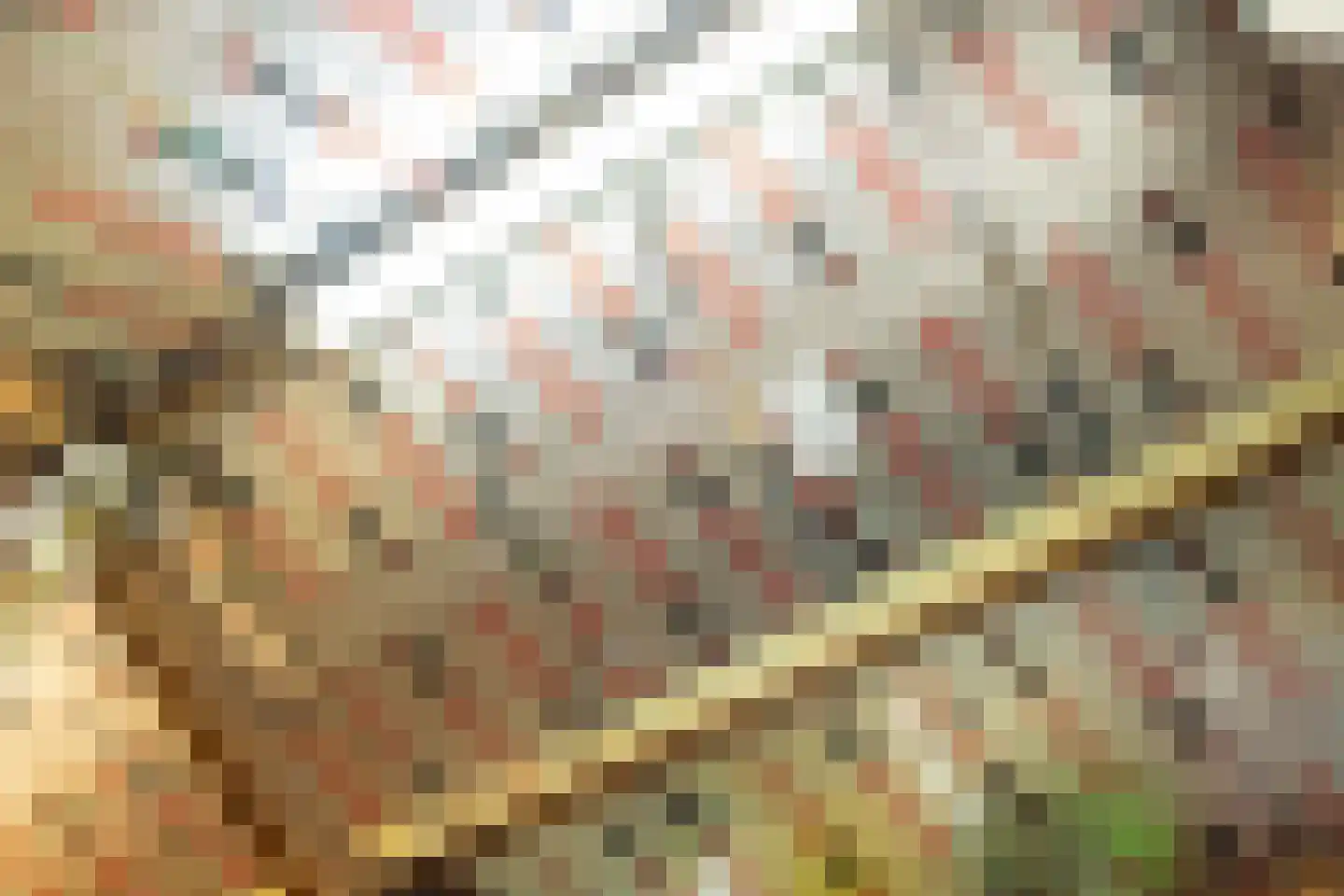 Gerbergastraat 4 Beek thumbnail 30