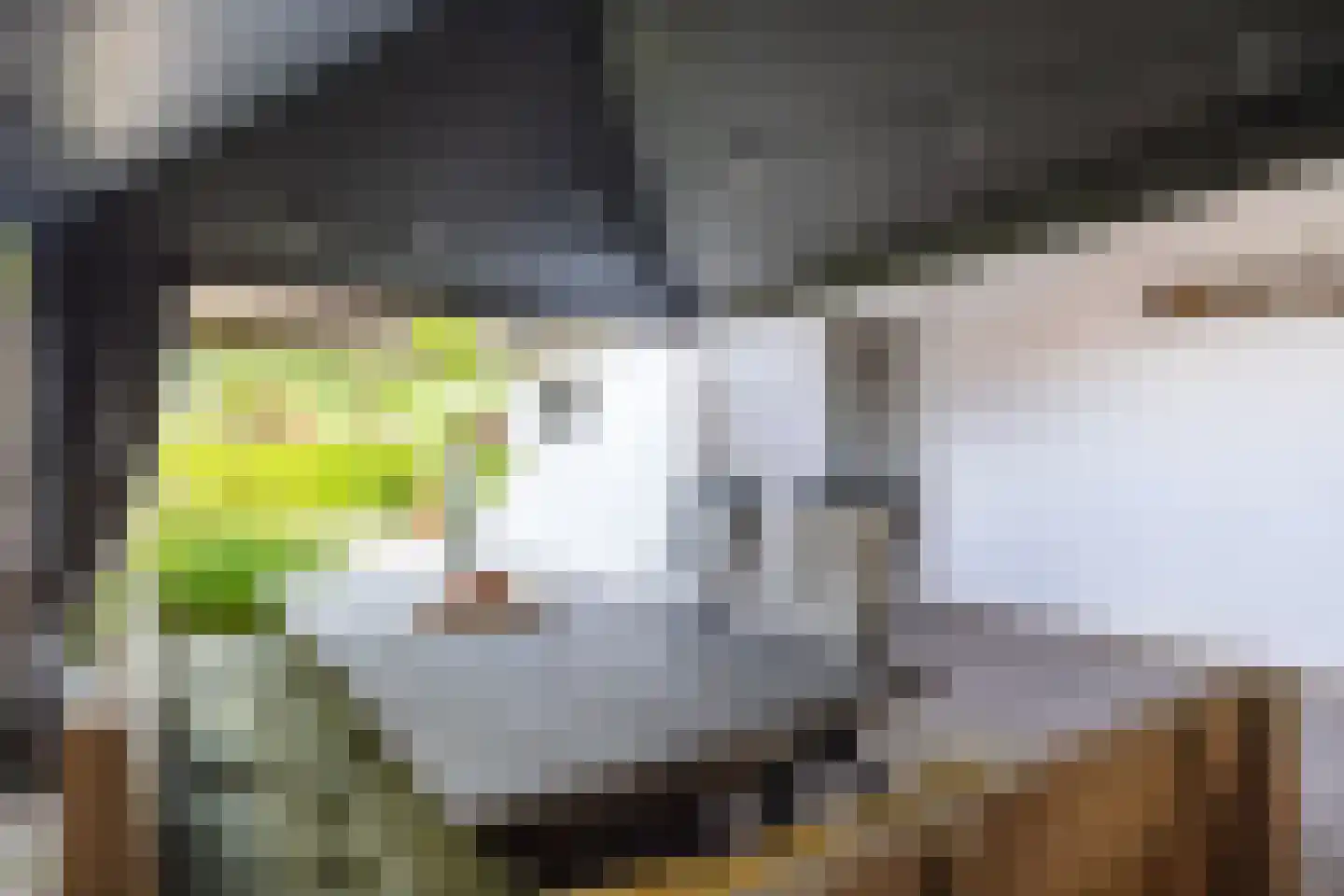 Gerbergastraat 4 Beek thumbnail 33