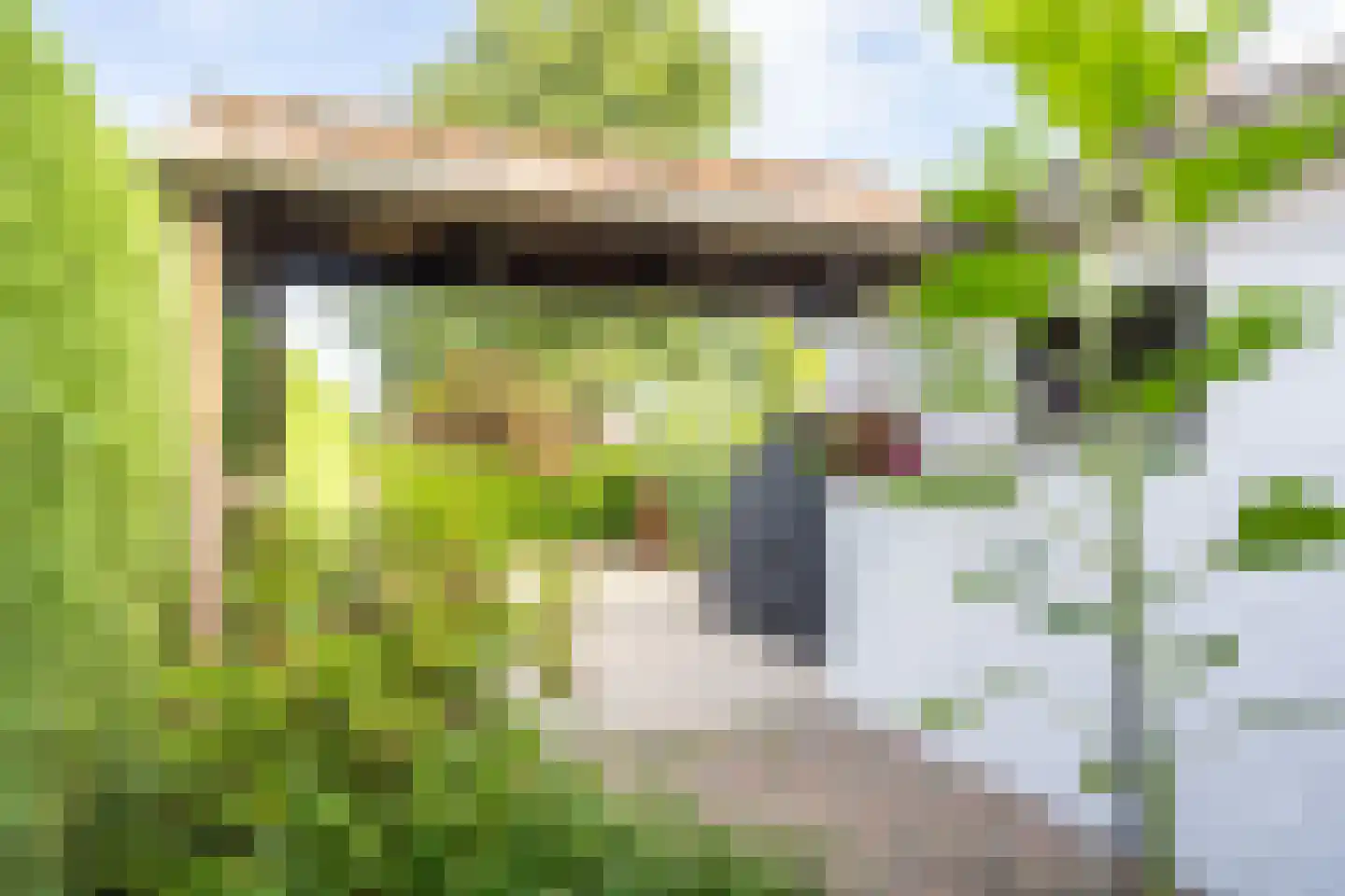 Gerbergastraat 4 Beek thumbnail 34