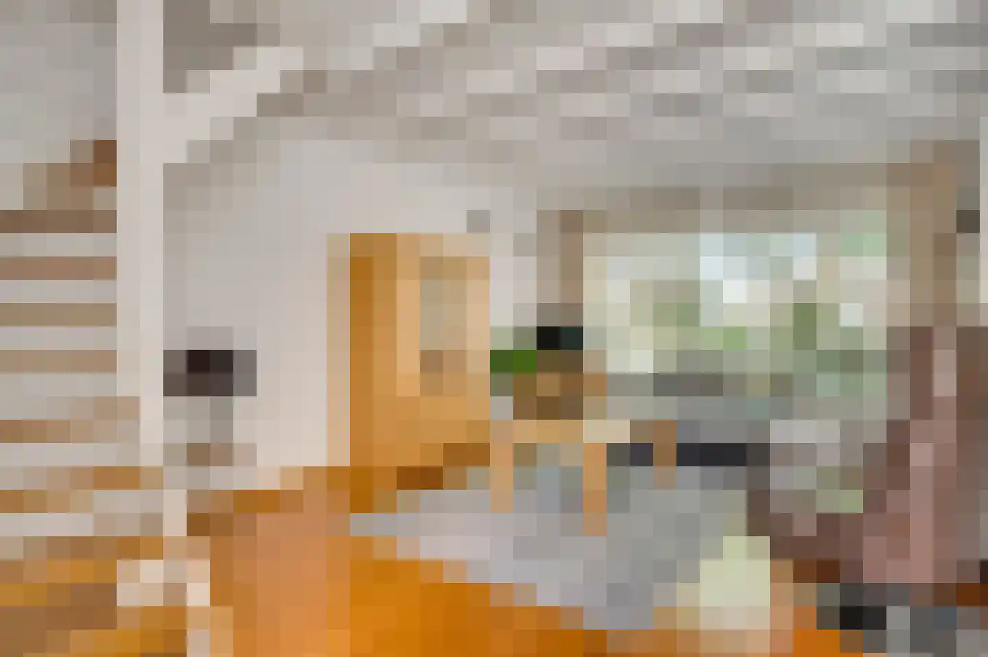 Gerbergastraat 55 Beek thumbnail 10