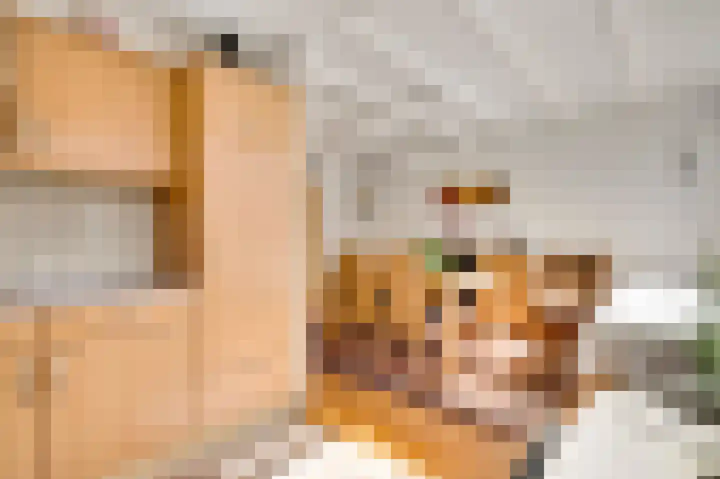 Gerbergastraat 55 Beek thumbnail 15