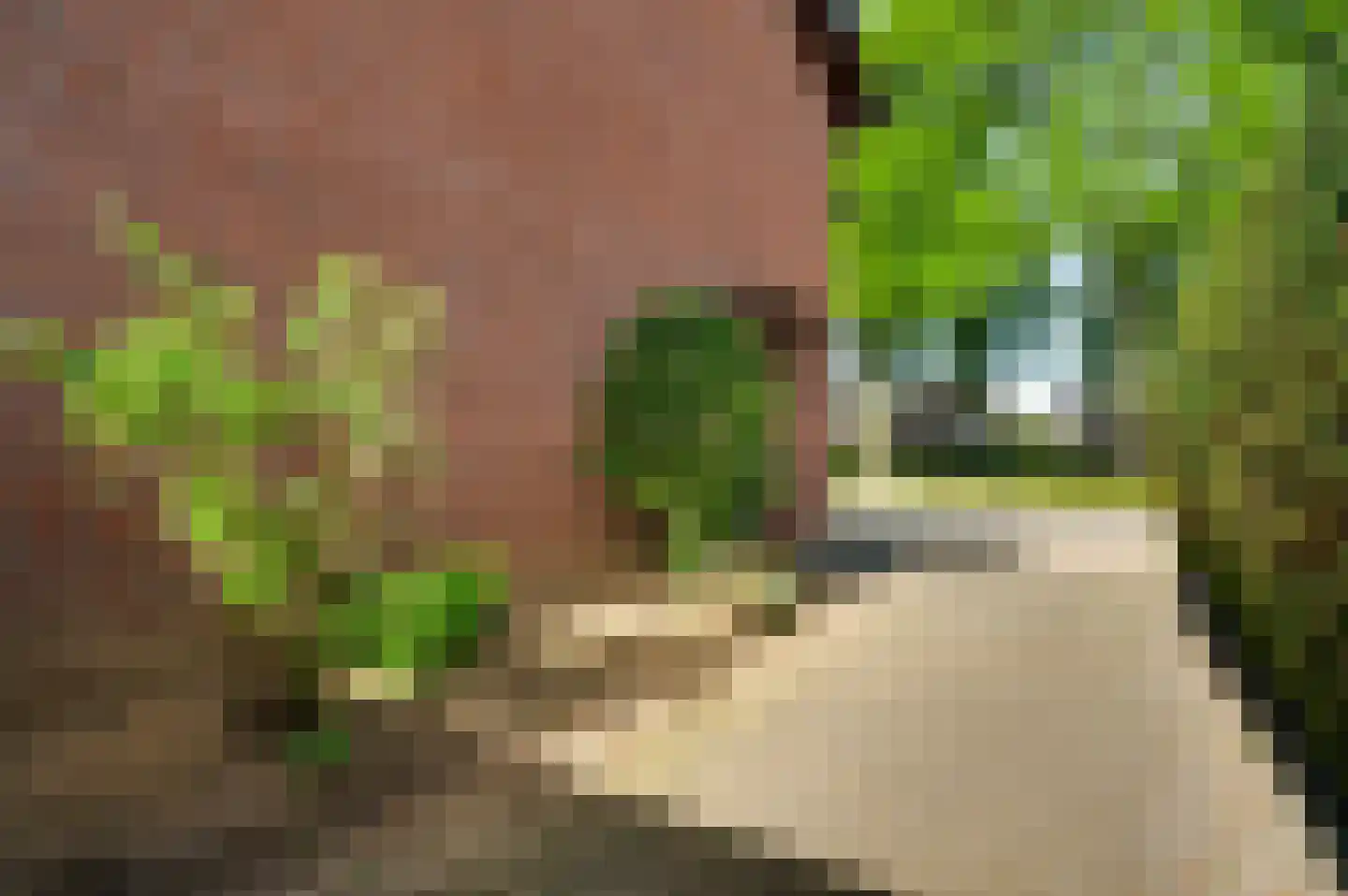 Gerbergastraat 55 Beek thumbnail 33
