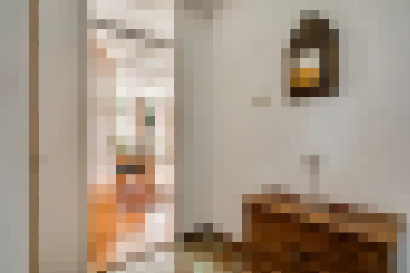 Gerbergastraat 55 Beek thumbnail 9