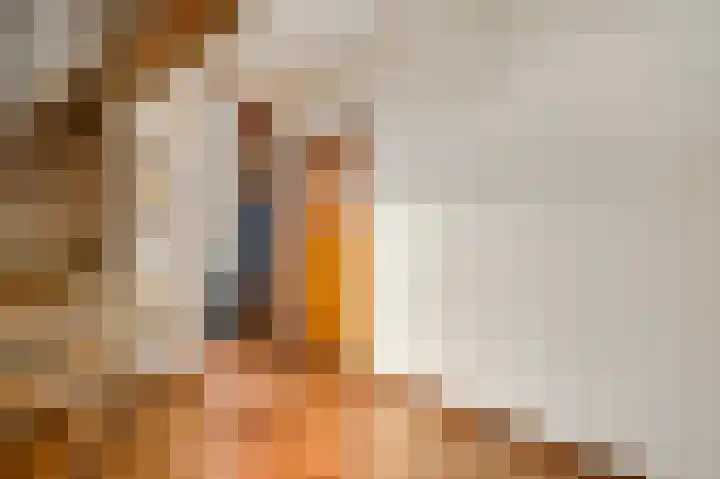Gerbergaweg 13 Herten thumbnail 5