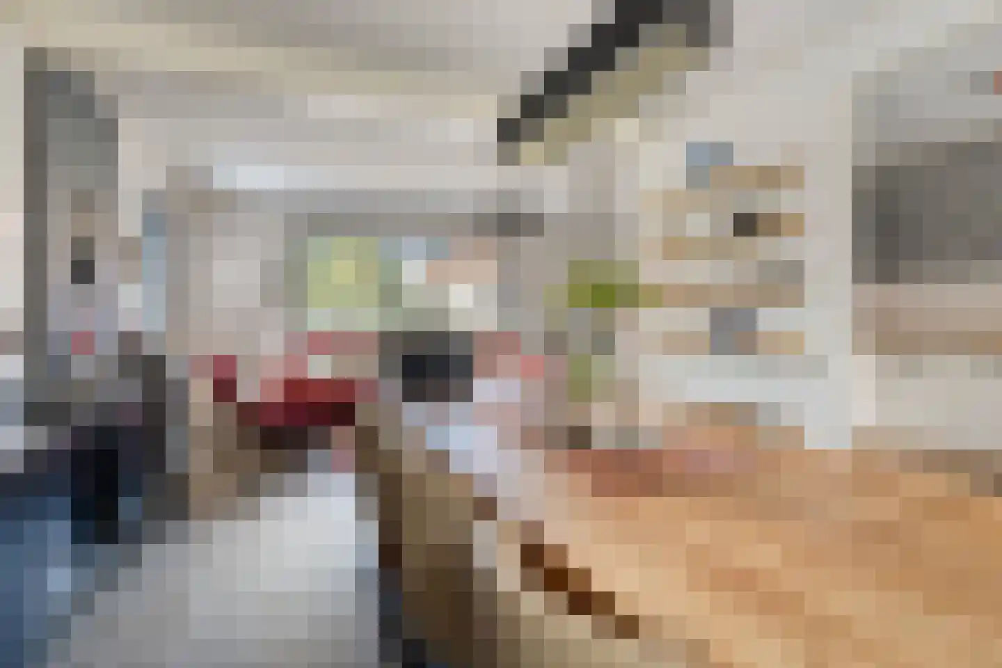 Gerbernesseweg 38 's-Heer Abtskerke thumbnail 11