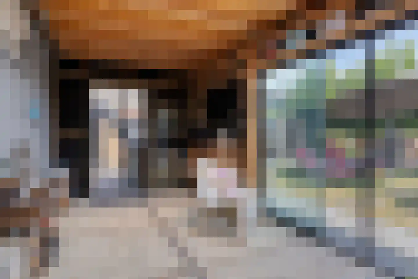 Gerbernesseweg 38 's-Heer Abtskerke thumbnail 15