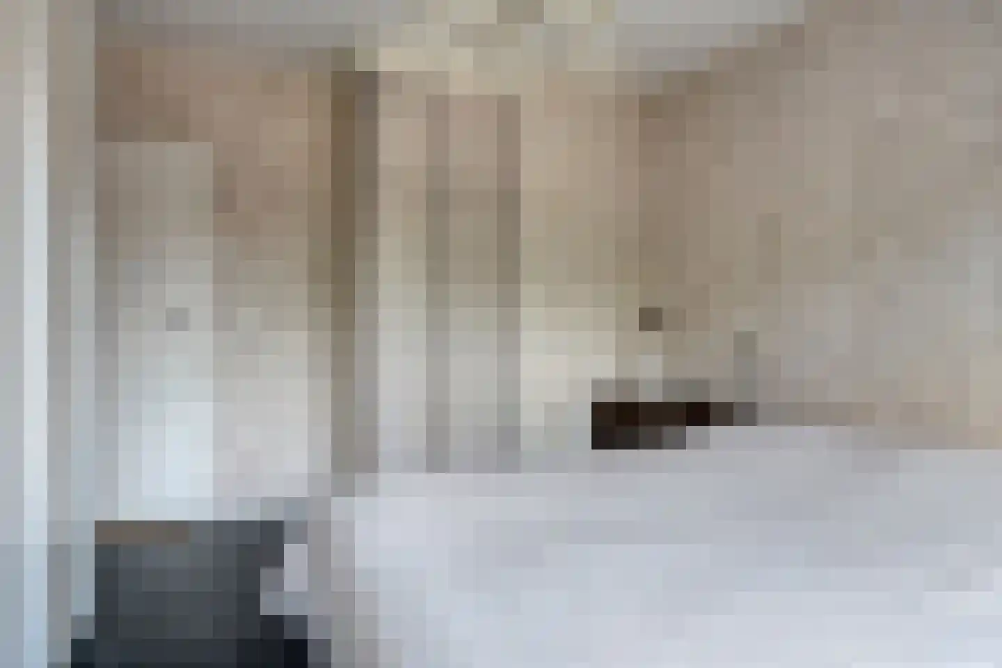 Gerbernesseweg 38 's-Heer Abtskerke thumbnail 17