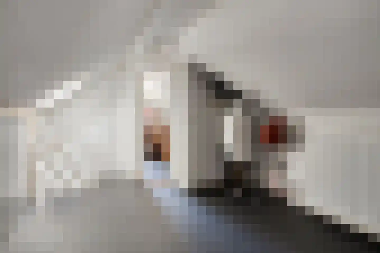 Gerbernesseweg 38 's-Heer Abtskerke thumbnail 26