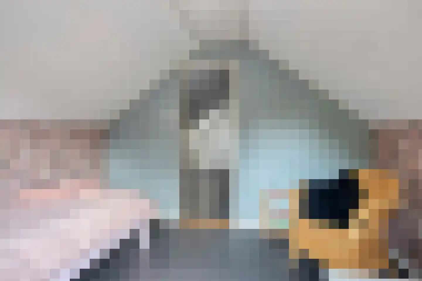 Gerbernesseweg 38 's-Heer Abtskerke thumbnail 29