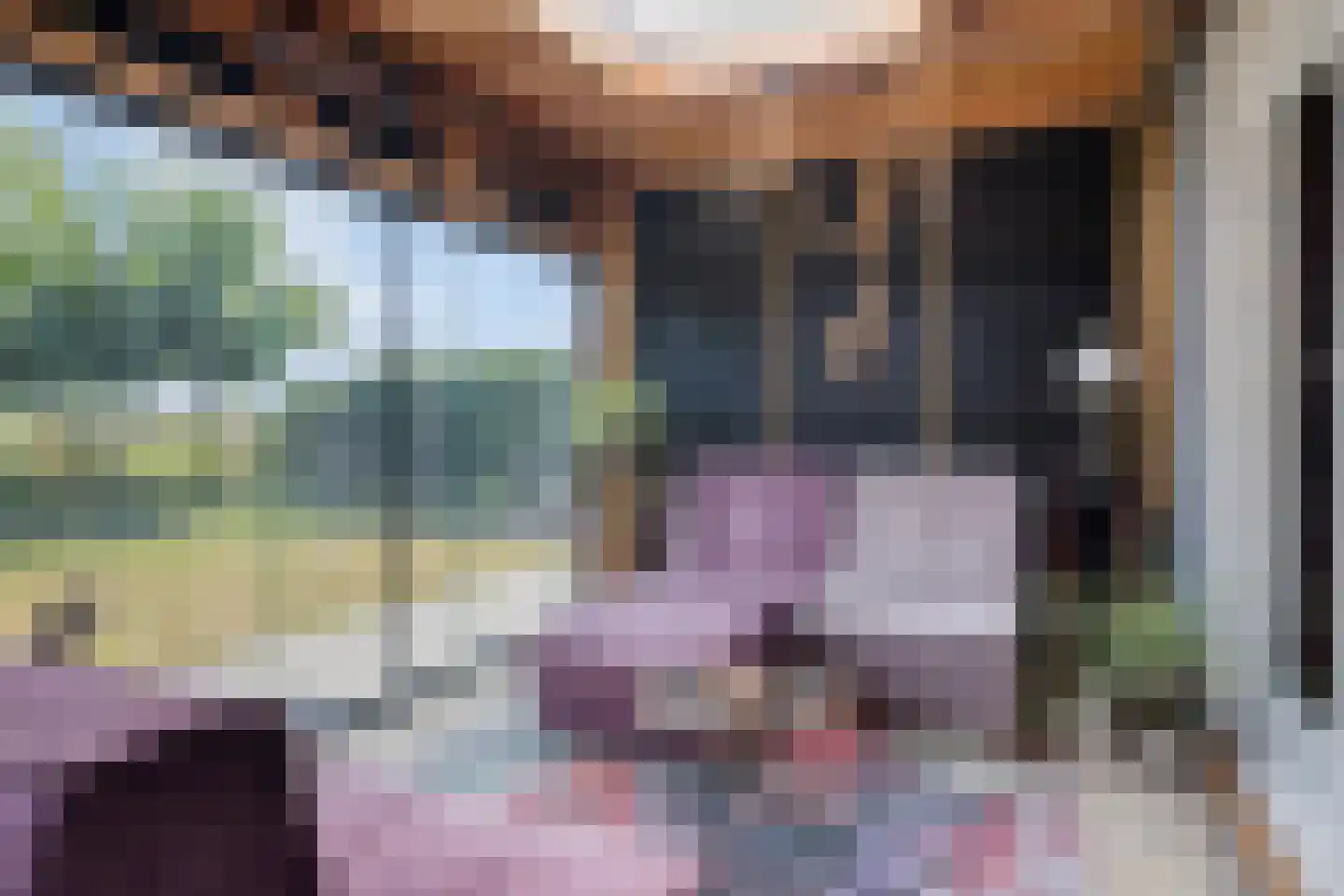 Gerbernesseweg 38 's-Heer Abtskerke thumbnail 33