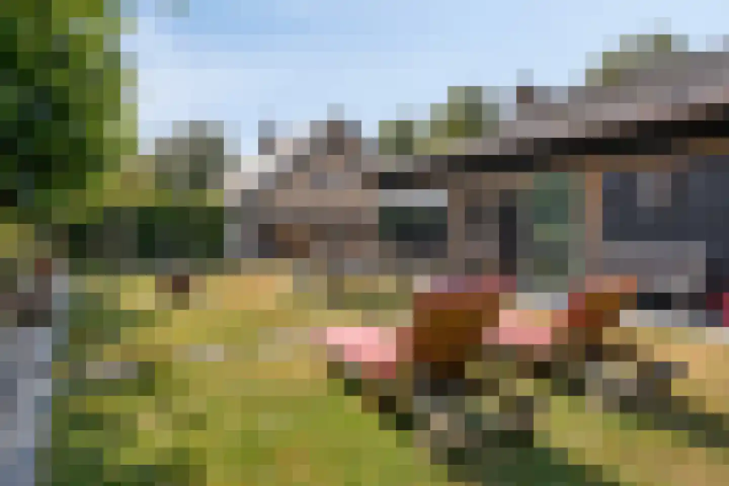 Gerbernesseweg 38 's-Heer Abtskerke thumbnail 39