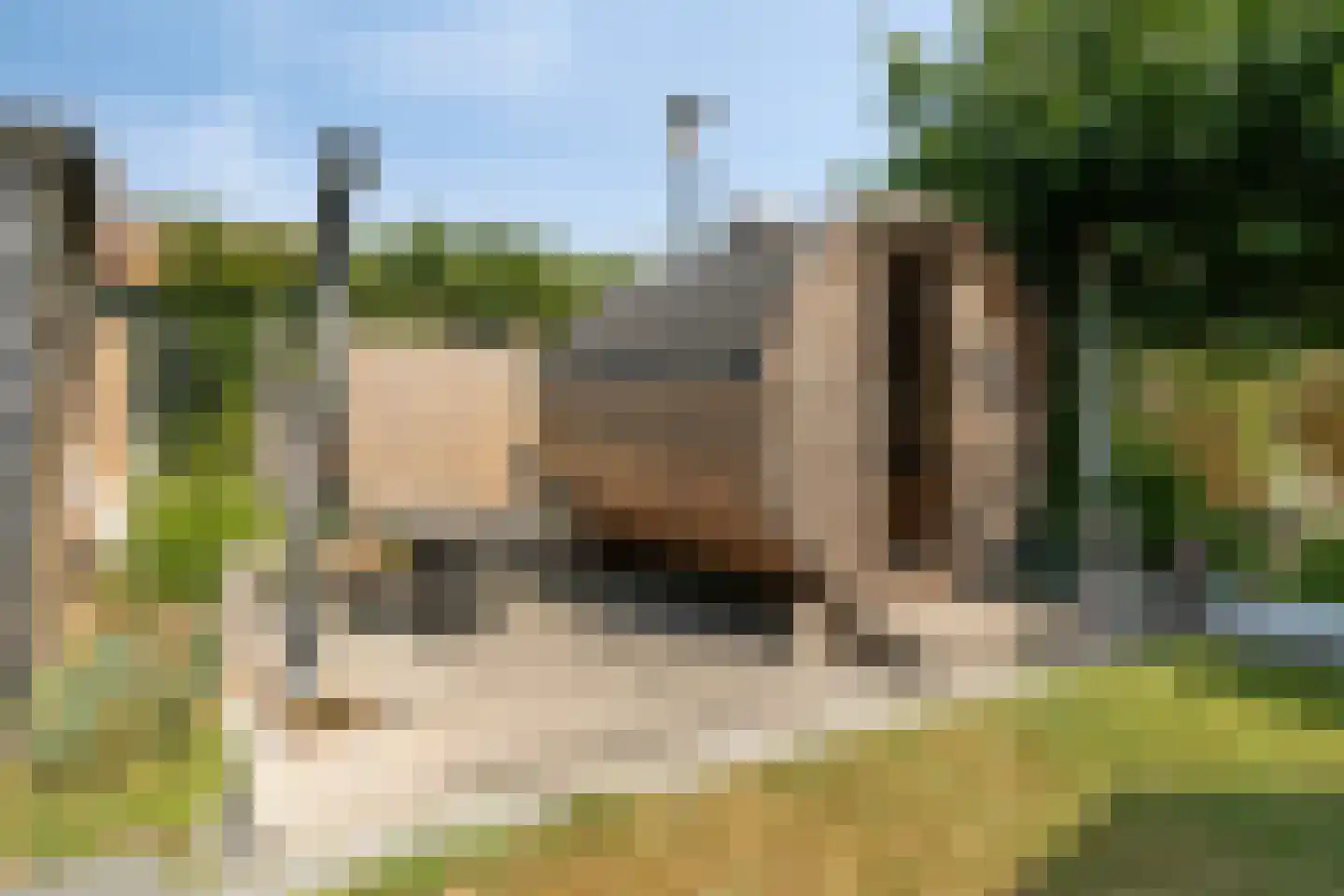 Gerbernesseweg 38 's-Heer Abtskerke thumbnail 42