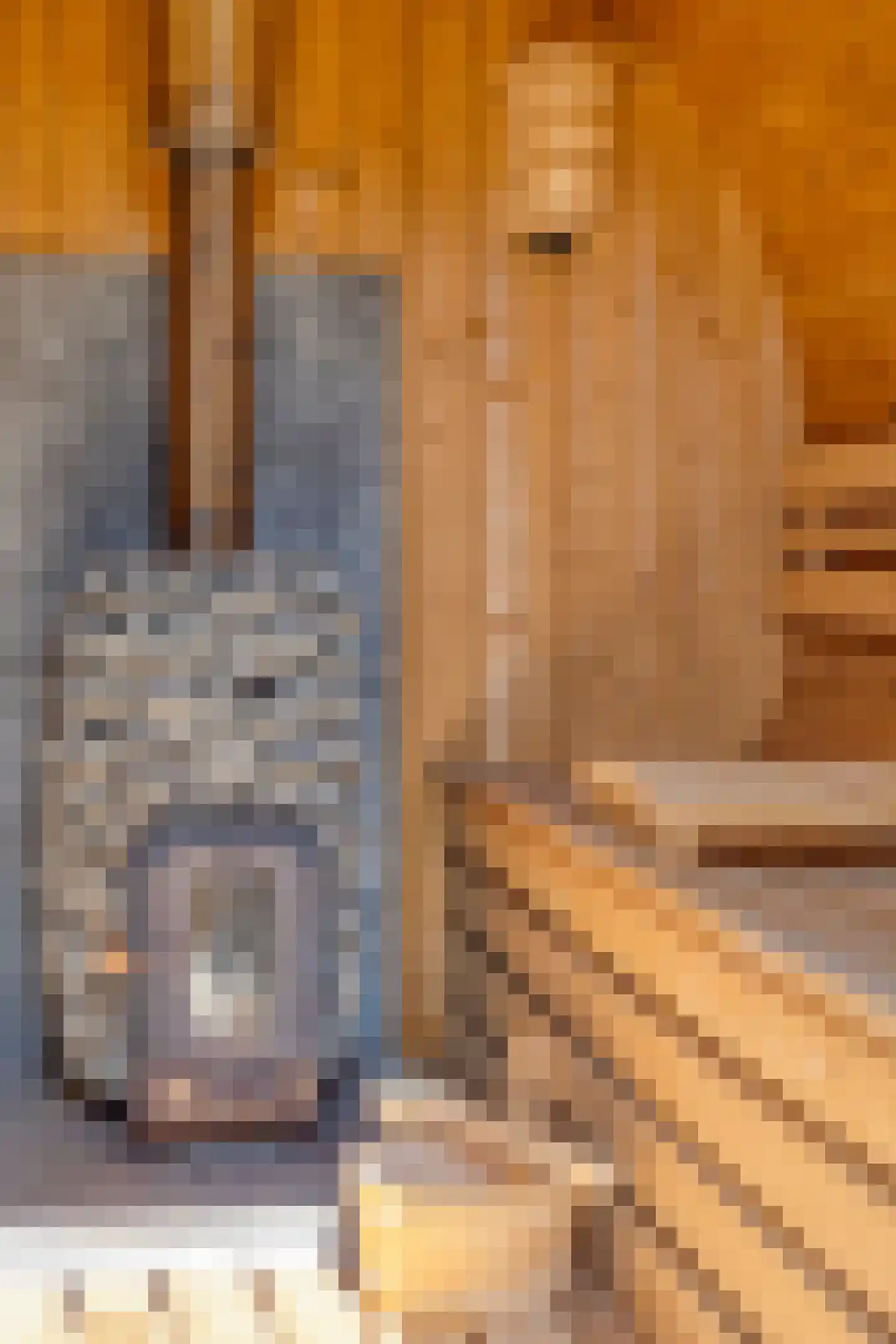 Gerbernesseweg 38 's-Heer Abtskerke thumbnail 43
