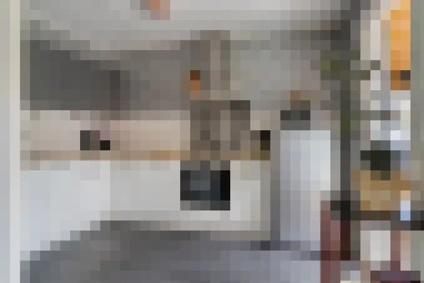 Gerbernesseweg 38 's-Heer Abtskerke thumbnail 5