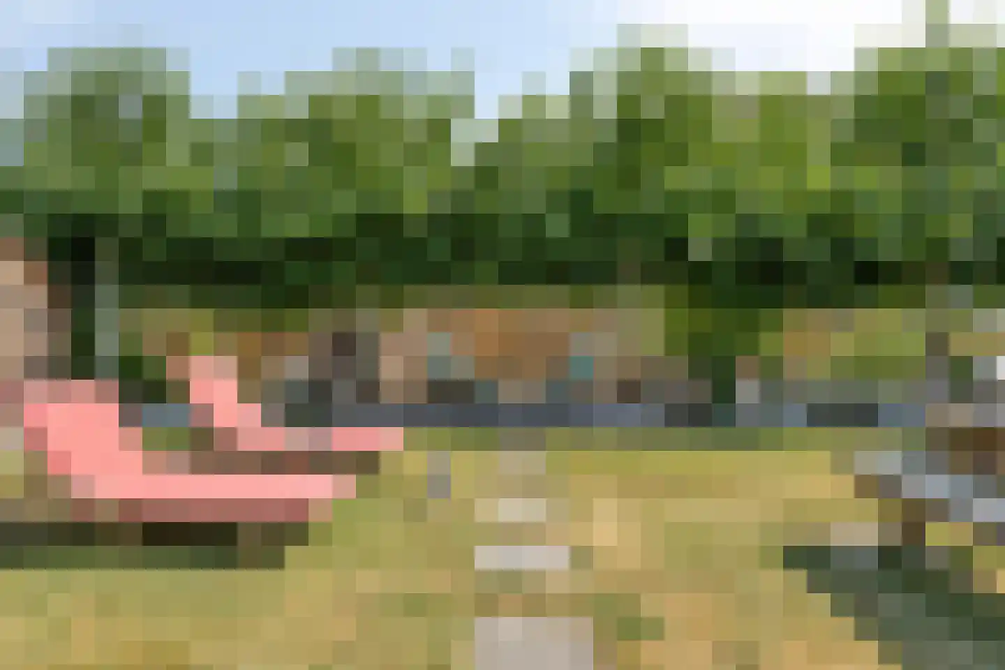 Gerbernesseweg 38 's-Heer Abtskerke thumbnail 6