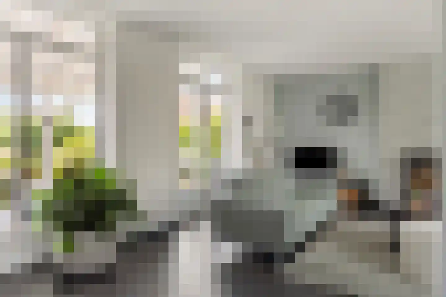 Gerbernesseweg 4 Nisse thumbnail 12