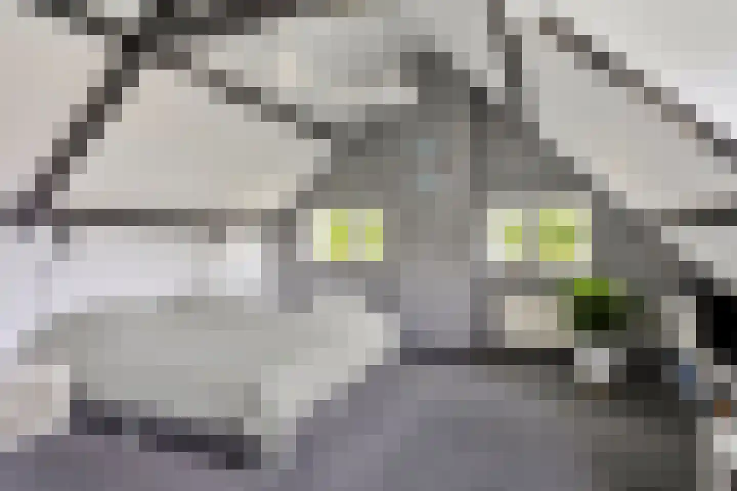Gerbernesseweg 4 Nisse thumbnail 36