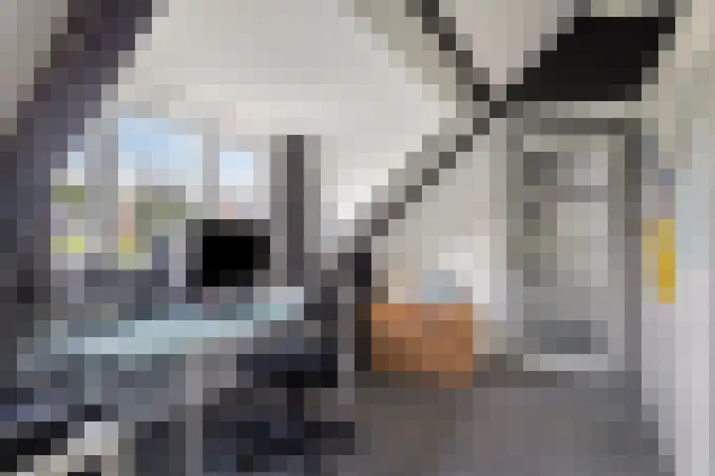 Gerbernesseweg 4 Nisse thumbnail 38