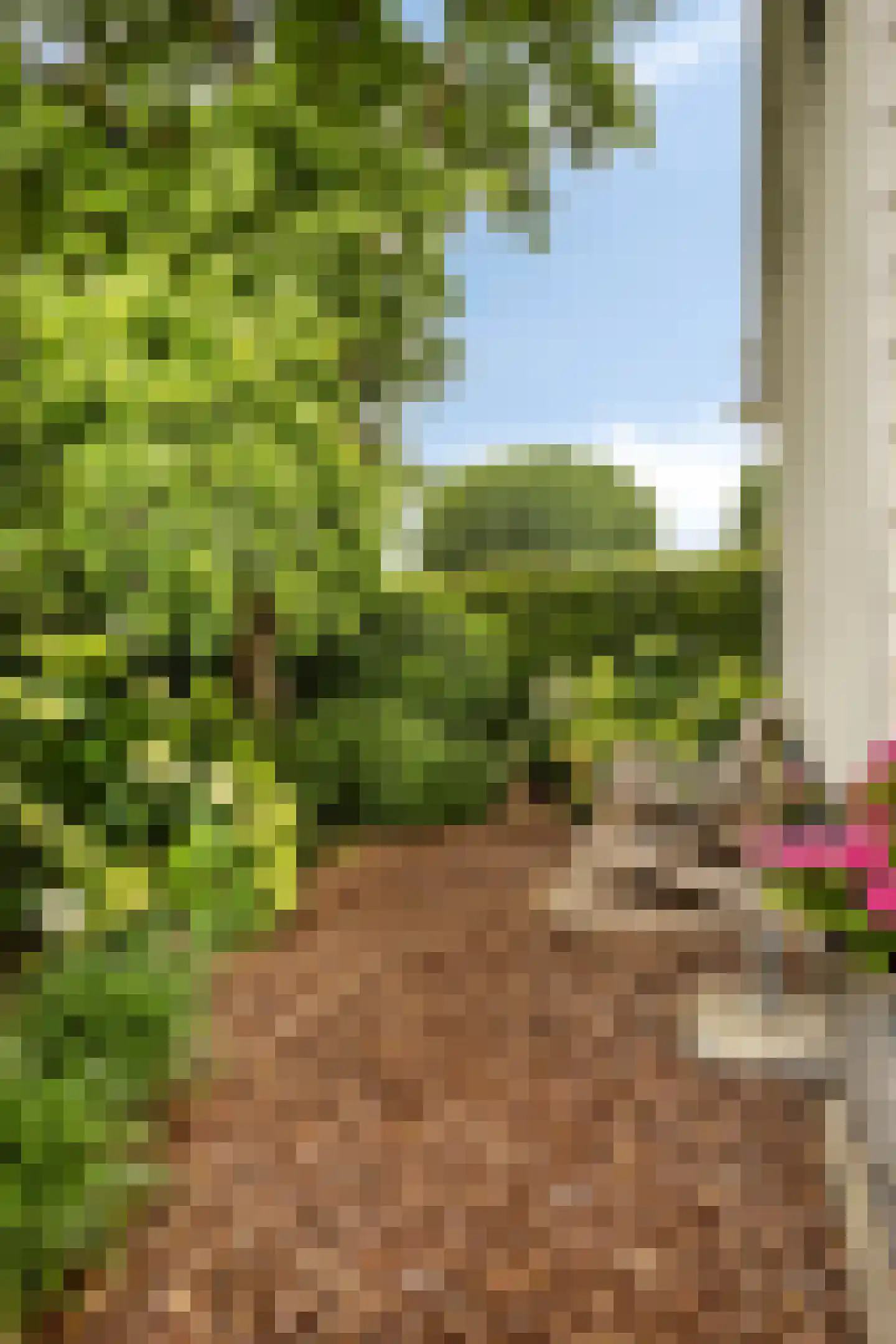 Gerbernesseweg 4 Nisse thumbnail 47