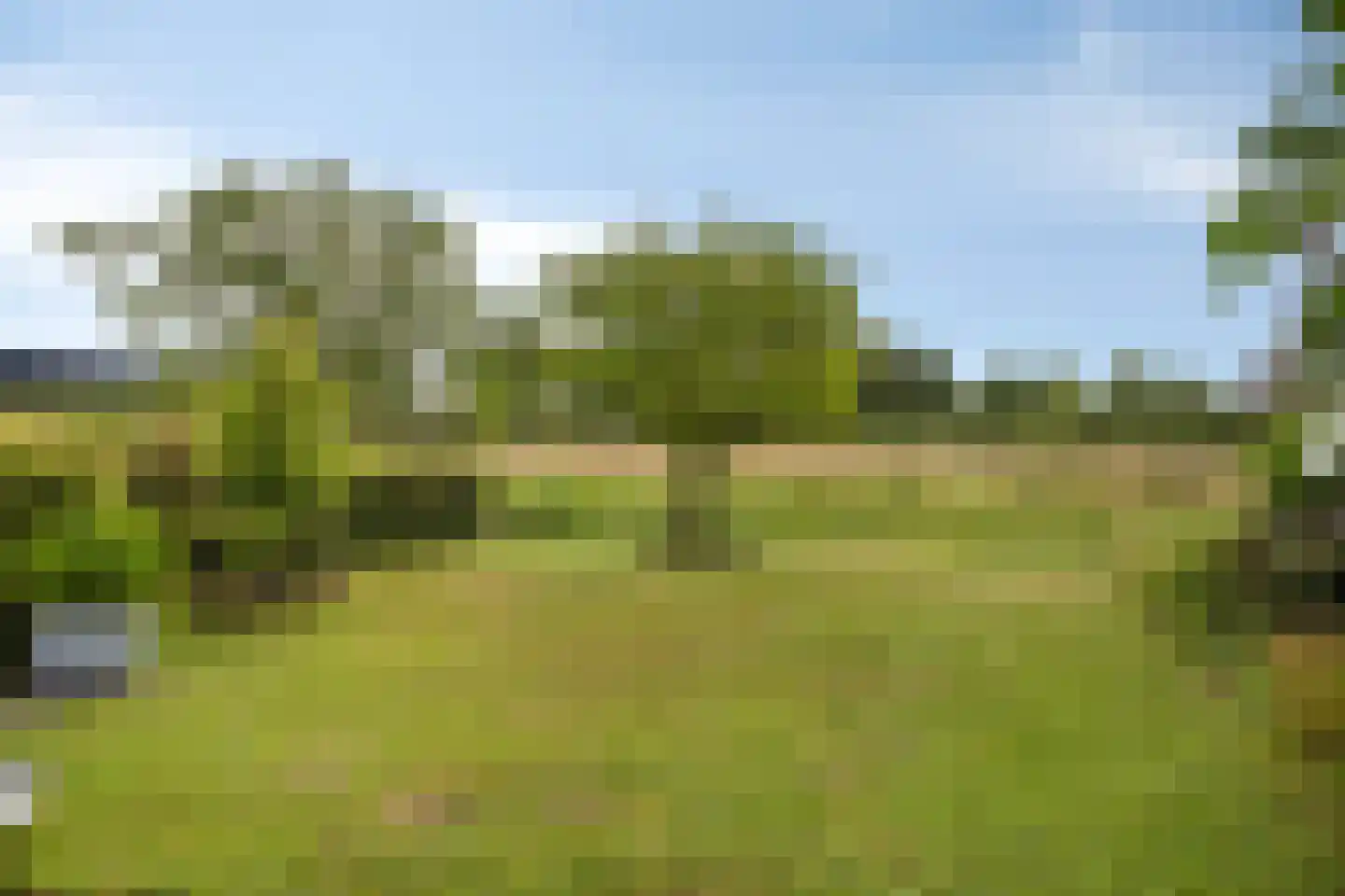 Gerbernesseweg 4 Nisse thumbnail 49