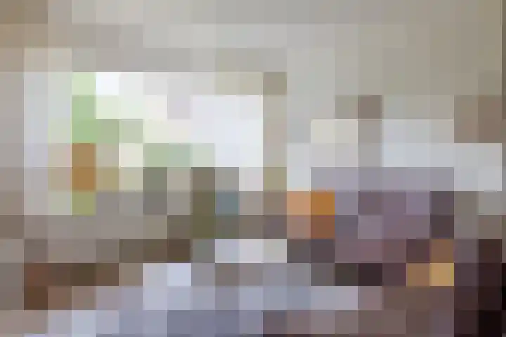 Gerbrand Adriaanszoon Brederodestraat 31 Rijssen thumbnail 9