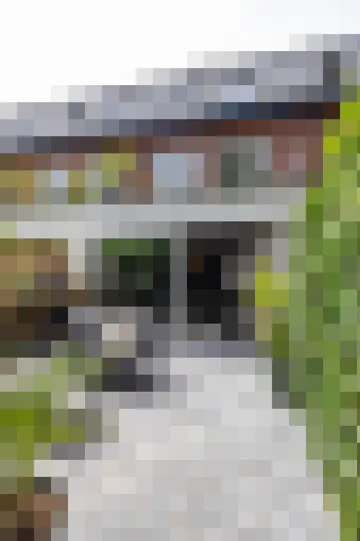 Gerbrand Bakkerstraat 101 Groningen thumbnail 30