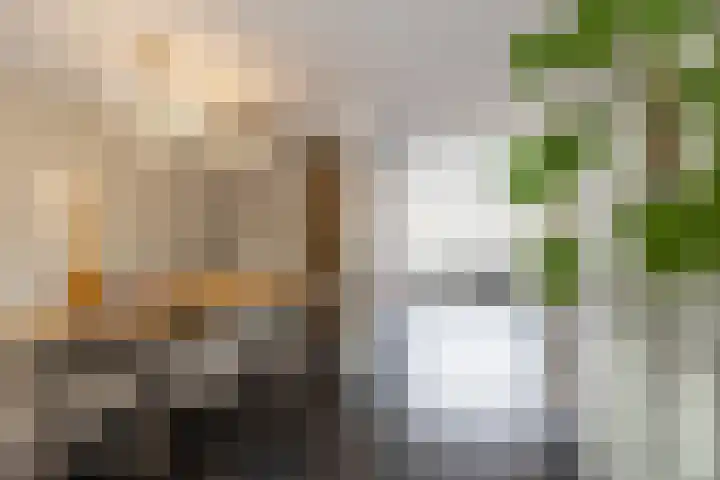 Gerbrand Bakkerstraat 101 Groningen thumbnail 32