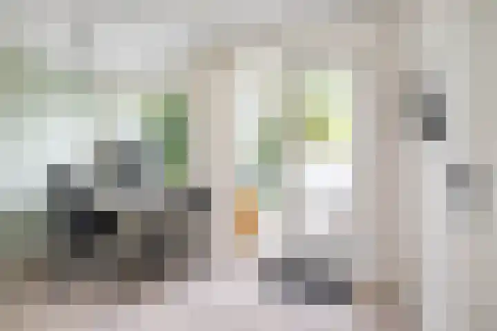 Gerbrand Bakkerstraat 101 Groningen thumbnail 34