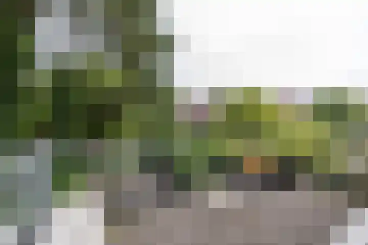 Gerbrand Bakkerstraat 101 Groningen thumbnail 38
