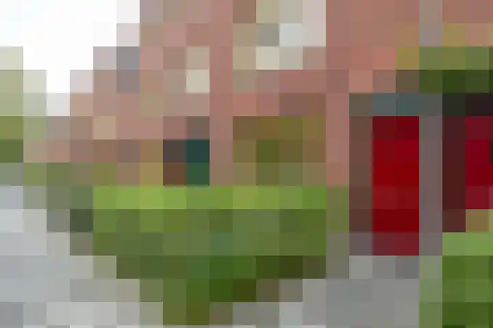 Gerbrand Bakkerstraat 101 Groningen thumbnail 5