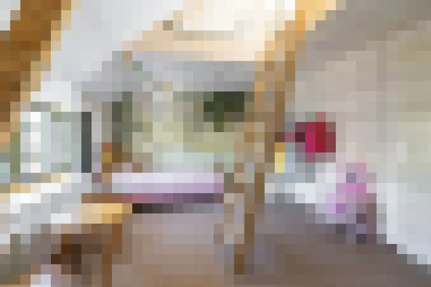 Gerbrand Bakkerstraat 19 a Groningen thumbnail 31